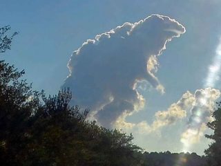 cubitorah_en_la_nube