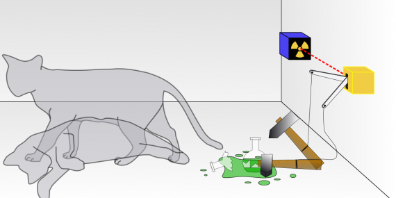Gamerah_Schrodingers_cat