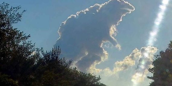 cubitorah_en_la_nube