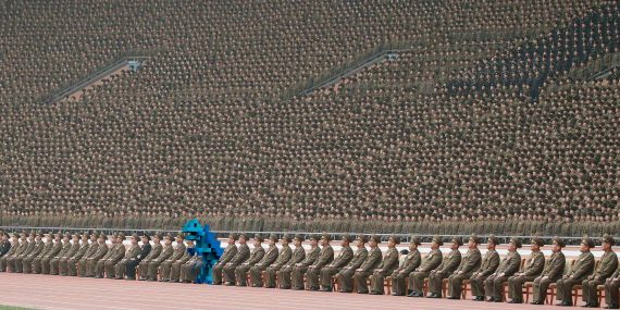 Cubitorah North Korea