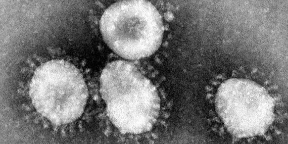 Coronavirus_gamerah