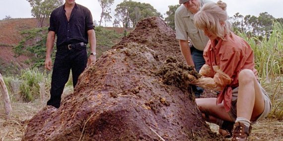 Porque no todos los prados son verdes ni todos los cielos azules.