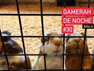 gamerah-de-noche#30-apaisado-ano4-opt-small