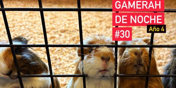 gamerah-de-noche#30-apaisado-ano4-opt-small